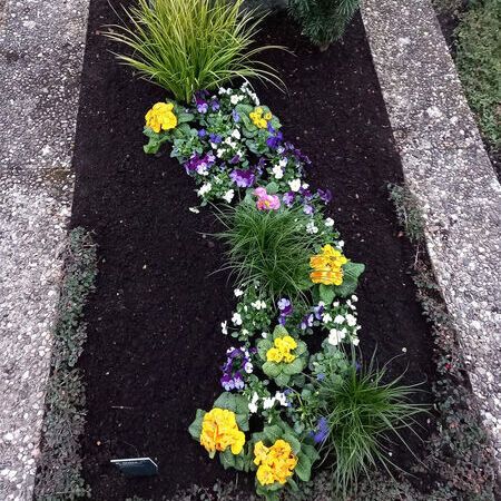 Frühjahrsbepflanzung