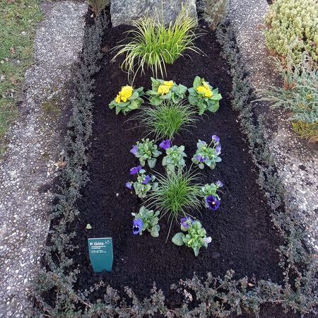 Frühjahrsbepflanzung